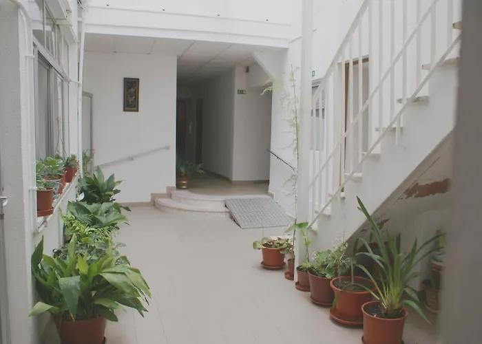 Primavera Monte Real